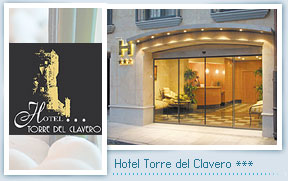 Hotel Torre del Clavero