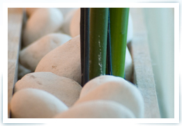 Contacto, Aquatherapia Balneario Spa