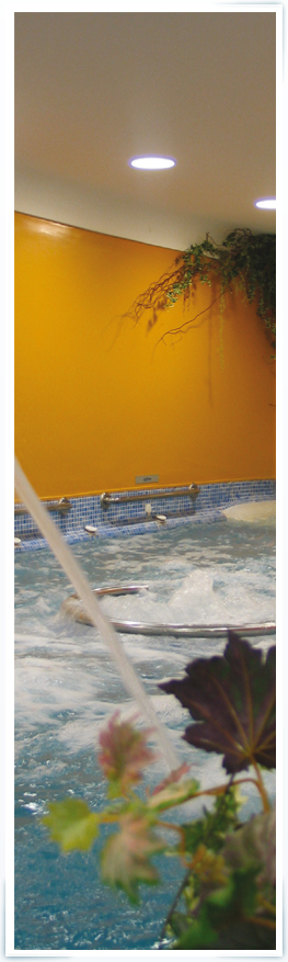 Fisioterapia, Aquatherapia Balneario Spa